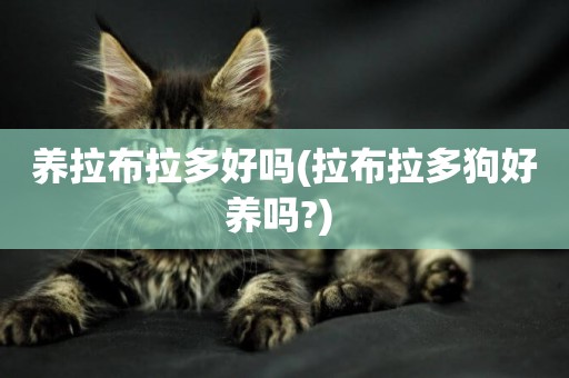 養拉布拉多好嗎(拉布拉多狗好養嗎?) 