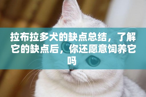 拉布拉多犬的缺點總結，了解它的缺點后，你還愿意飼養它嗎 