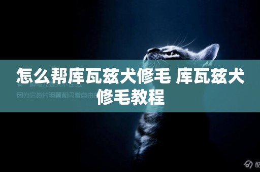 怎么幫庫瓦茲犬修毛 庫瓦茲犬修毛教程
