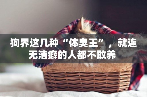 狗界這幾種“體臭王”，就連無潔癖的人都不敢養 