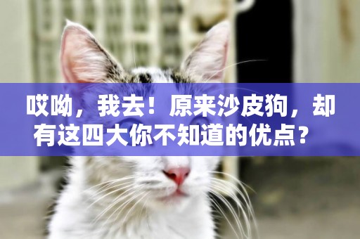 哎呦，我去！原來沙皮狗，卻有這四大你不知道的優點？ 