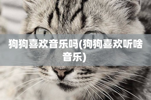 狗狗喜歡音樂嗎(狗狗喜歡聽啥音樂) 