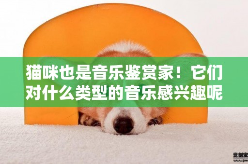貓咪也是音樂鑒賞家！它們對什么類型的音樂感興趣呢？ 