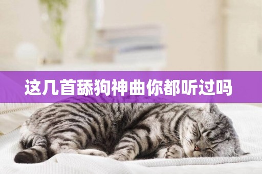 這幾首舔狗神曲你都聽過嗎 