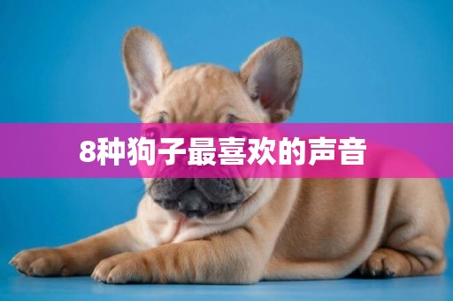 8種狗子最喜歡的聲音 