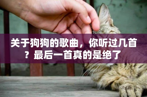 關于狗狗的歌曲，你聽過幾首？最后一首真的是絕了 