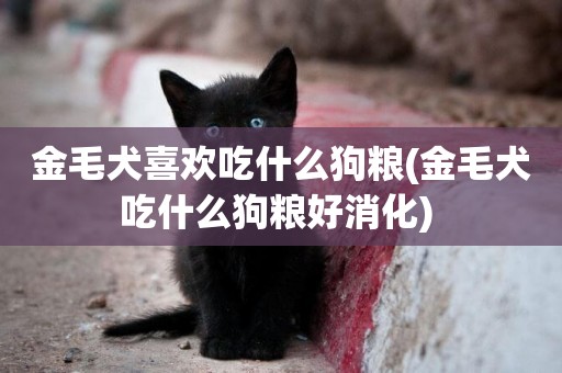 金毛犬喜歡吃什么狗糧(金毛犬吃什么狗糧好消化) 
