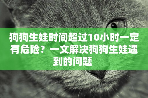 狗狗生娃時間超過10小時一定有危險？一文解決狗狗生娃遇到的問題 