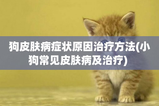 狗皮膚病癥狀原因治療方法(小狗常見皮膚病及治療) 