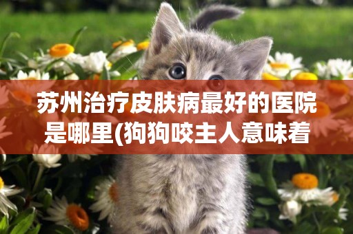 蘇州治療皮膚病最好的醫院是哪里(狗狗咬主人意味著什么) 
