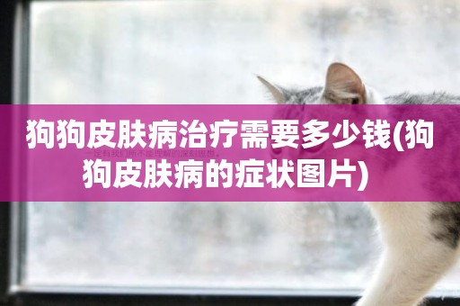狗狗皮膚病治療需要多少錢(狗狗皮膚病的癥狀圖片) 
