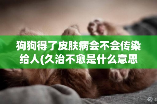 狗狗得了皮膚病會不會傳染給人(久治不愈是什么意思) 