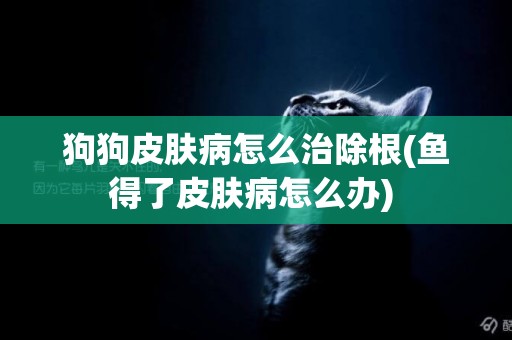狗狗皮膚病怎么治除根(魚得了皮膚病怎么辦) 