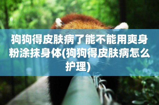 狗狗得皮膚病了能不能用爽身粉涂抹身體(狗狗得皮膚病怎么護理) 