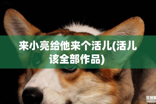 來小亮給他來個活兒(活兒該全部作品) 
