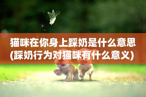 貓咪在你身上踩奶是什么意思(踩奶行為對貓咪有什么意義) 