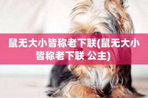 鼠無大小皆稱老下聯(鼠無大小皆稱老下聯 公主) 