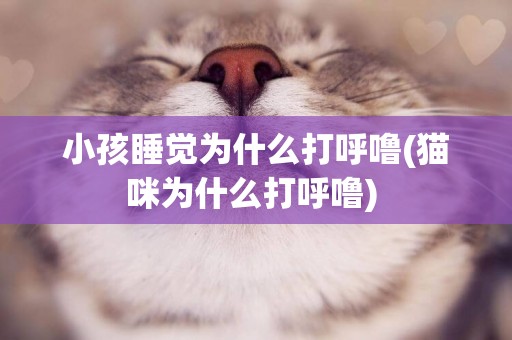 小孩睡覺為什么打呼嚕(貓咪為什么打呼嚕) 