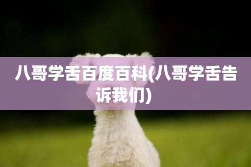 八哥學舌百度百科(八哥學舌告訴我們) 