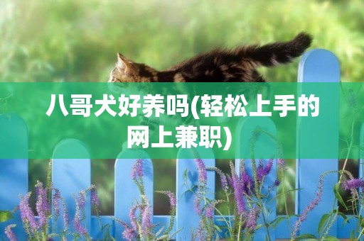 八哥犬好養嗎(輕松上手的網上兼職) 