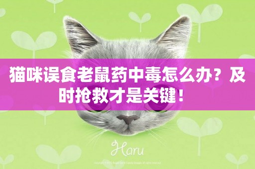 貓咪誤食老鼠藥中毒怎么辦？及時搶救才是關鍵！ 