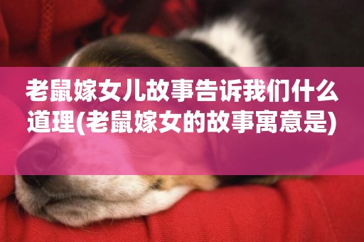 老鼠嫁女兒故事告訴我們什么道理(老鼠嫁女的故事寓意是) 