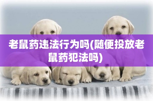 老鼠藥違法行為嗎(隨便投放老鼠藥犯法嗎) 