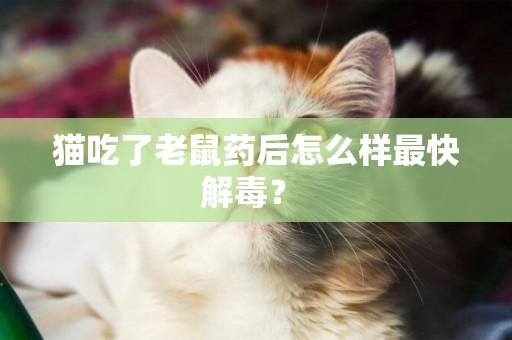 貓吃了老鼠藥后怎么樣最快解毒？ 