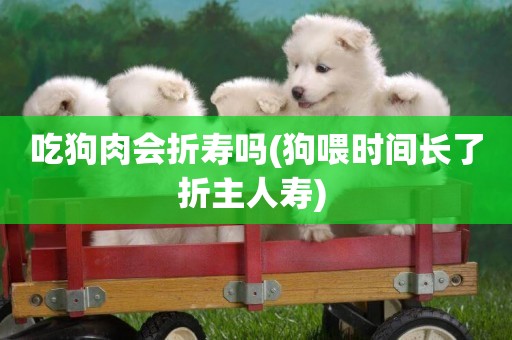 吃狗肉會折壽嗎(狗喂時間長了折主人壽) 