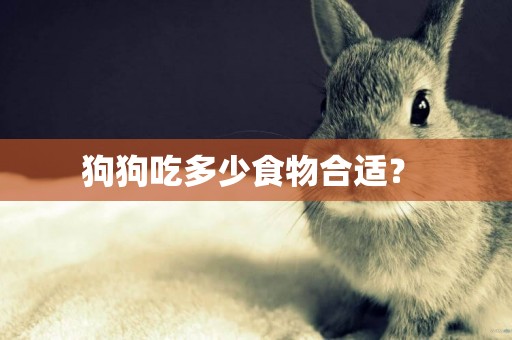 狗狗吃多少食物合適？ 