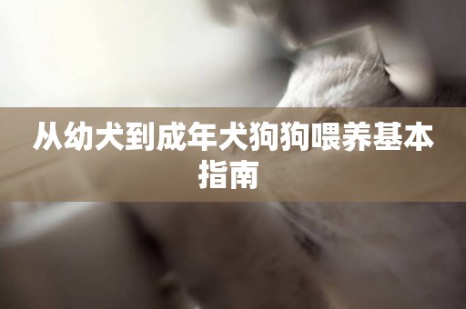 從幼犬到成年犬狗狗喂養基本指南 