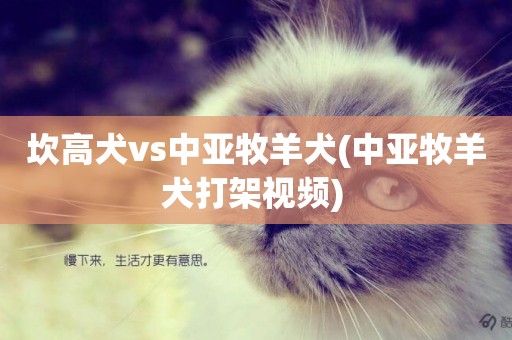 坎高犬vs中亞牧羊犬(中亞牧羊犬打架視頻) 