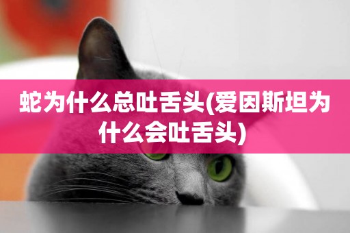 蛇為什么總吐舌頭(愛因斯坦為什么會吐舌頭) 
