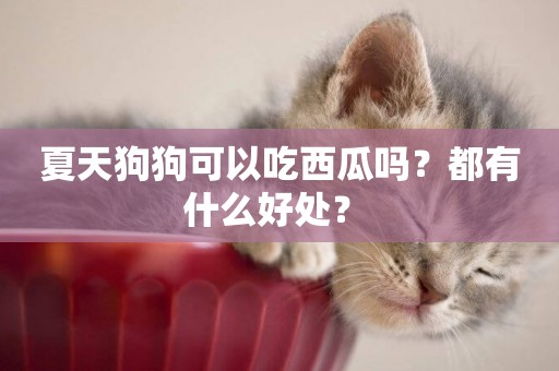 夏天狗狗可以吃西瓜嗎？都有什么好處？ 