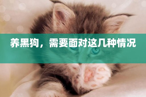 養黑狗，需要面對這幾種情況 