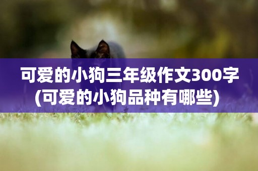 可愛的小狗三年級作文300字(可愛的小狗品種有哪些) 