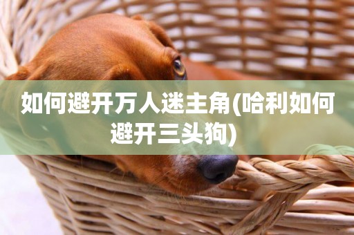 如何避開萬人迷主角(哈利如何避開三頭狗) 