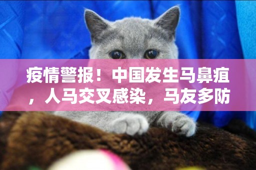 疫情警報！中國發生馬鼻疽，人馬交叉感染，馬友多防范！ 