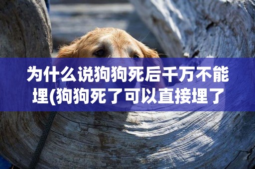 為什么說狗狗死后千萬不能埋(狗狗死了可以直接埋了嗎) 