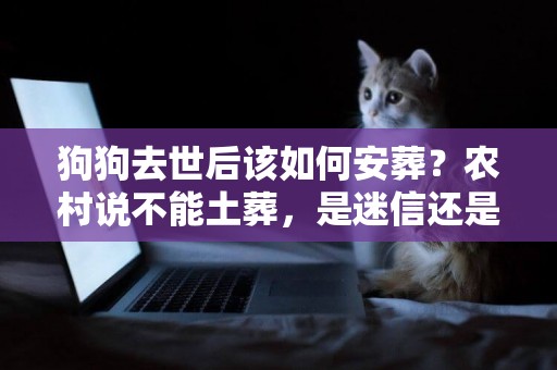 狗狗去世后該如何安葬？農村說不能土葬，是迷信還是有實際原因？ 