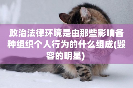 政治法律環境是由那些影響各種組織個人行為的什么組成(毀容的明星) 