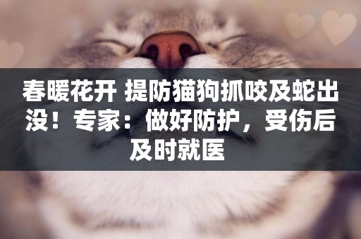 春暖花開 提防貓狗抓咬及蛇出沒！專家：做好防護，受傷后及時就醫 