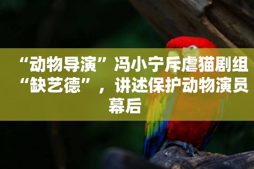 “動物導演”馮小寧斥虐貓劇組“缺藝德”，講述保護動物演員幕后 