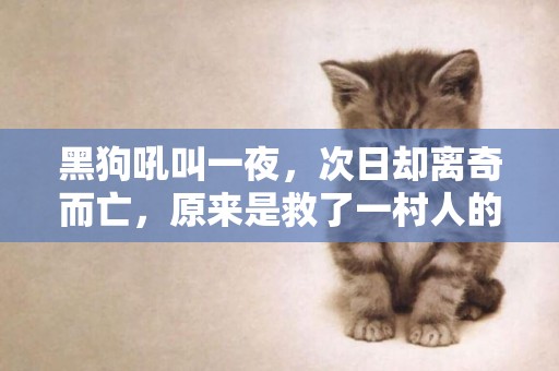 黑狗吼叫一夜，次日卻離奇而亡，原來是救了一村人的命 