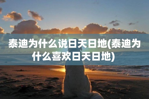 泰迪為什么說日天日地(泰迪為什么喜歡日天日地) 