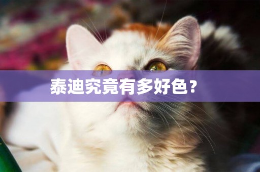 泰迪究竟有多好色？ 