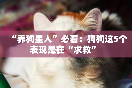 “養狗星人”必看：狗狗這5個表現是在“求救” 