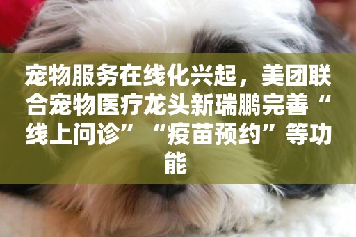 寵物服務在線化興起，美團聯合寵物醫療龍頭新瑞鵬完善“線上問診”“疫苗預約”等功能 