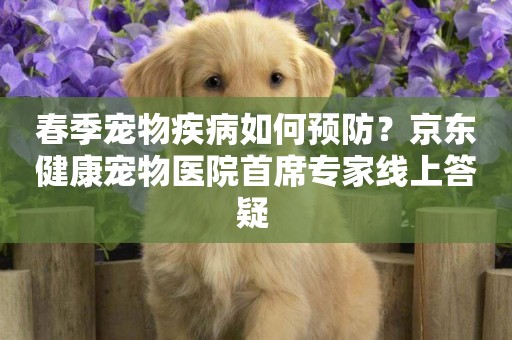 春季寵物疾病如何預防？京東健康寵物醫院首席專家線上答疑 