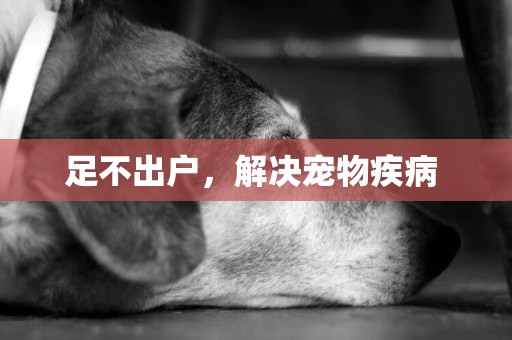 足不出戶，解決寵物疾病 